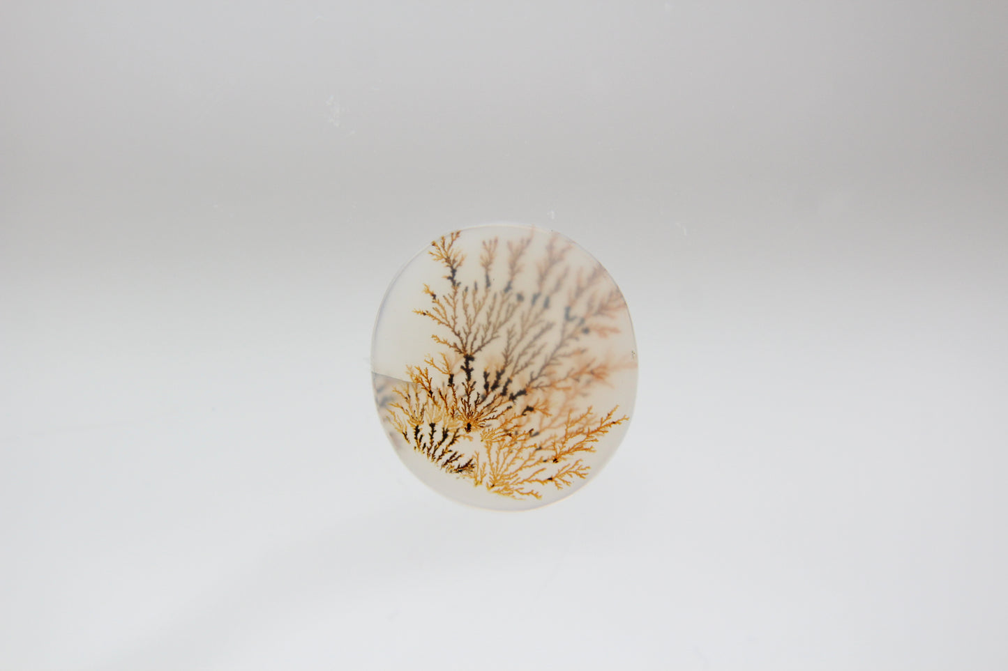 Mixed Gold “Zali” Ring - Dendritic Agate