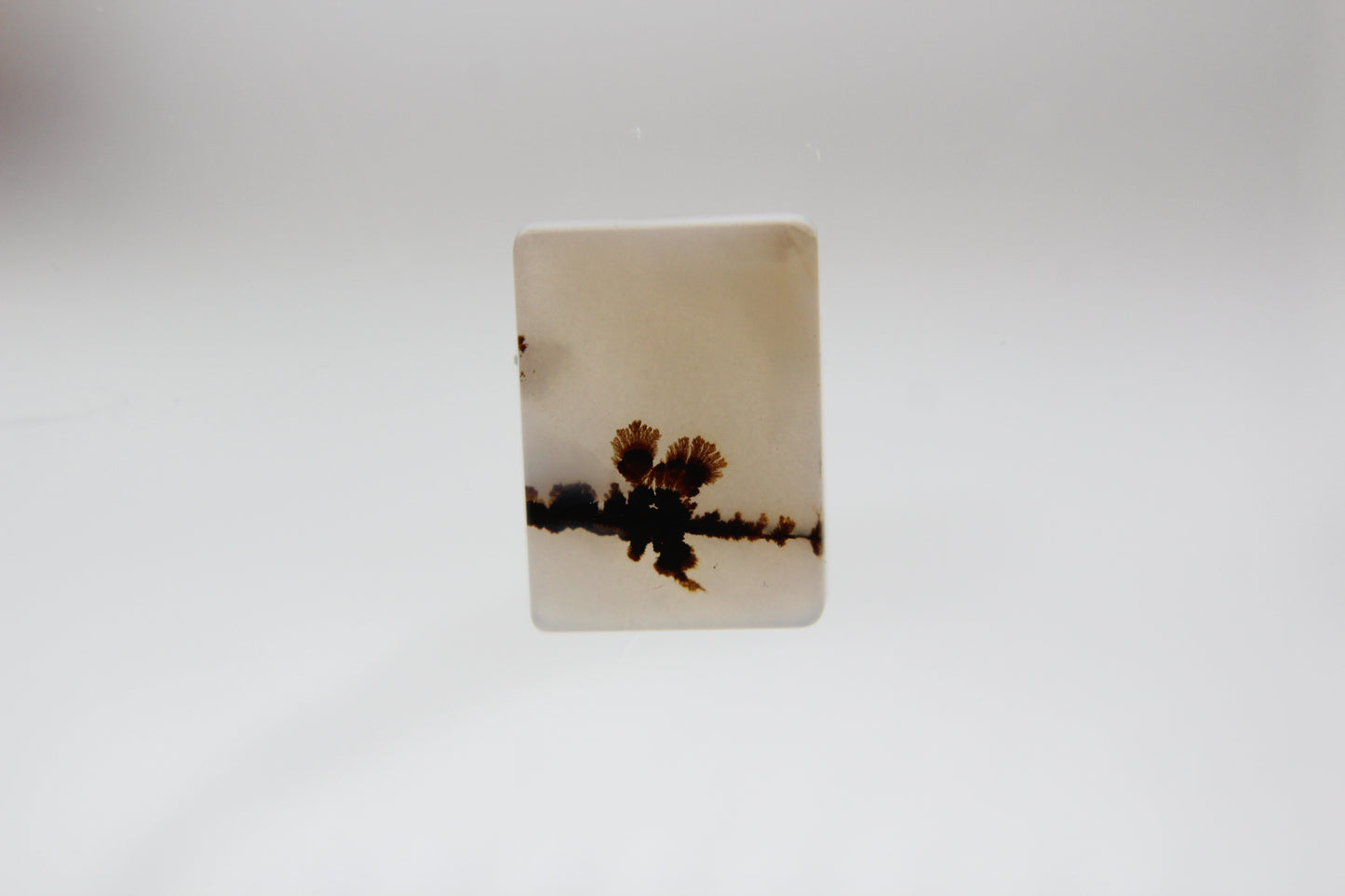 Mixed Gold “Zali” Ring - Dendritic Agate